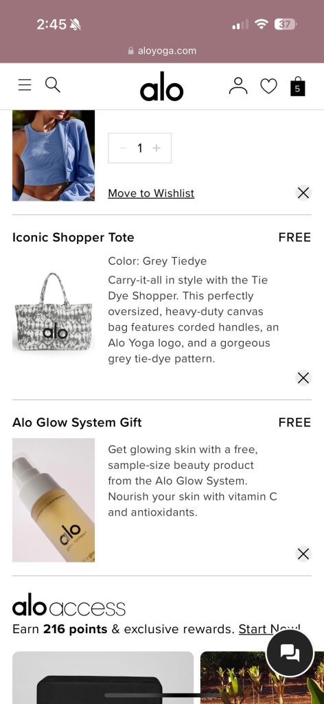 How to Get Free Alo Tote Bag